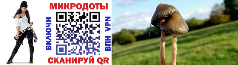 купить Руза Галлюциногенные грибы мицелий